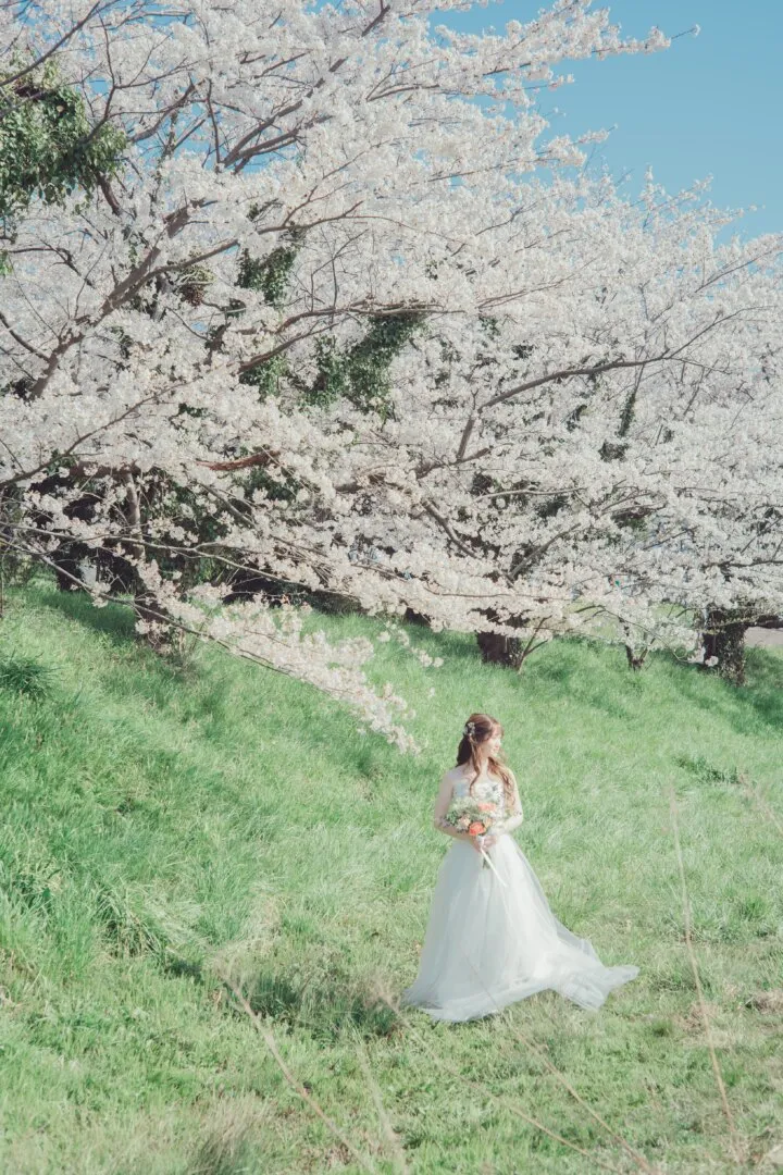 JAPAN / FUKUI