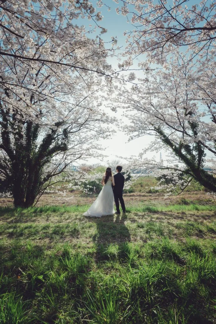 JAPAN / FUKUI