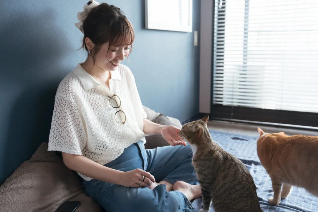 AI OSHIMA
