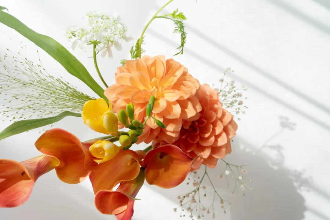 SASAYUKA WEDDING（MONITTOR SHOOTING）