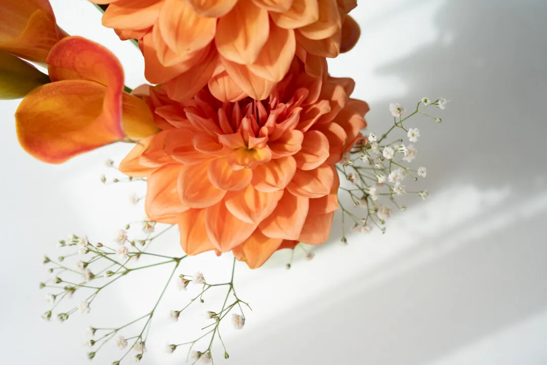 SASAYUKA WEDDING（MONITTOR SHOOTING）